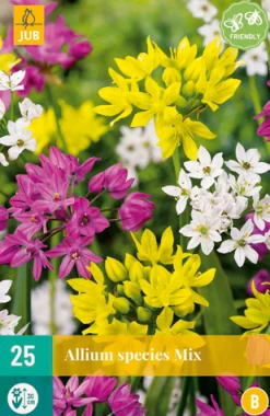 25 allium species mix|ohgreen Clearance