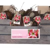 1 amaryllis rood-wit|ohgreen Outlet