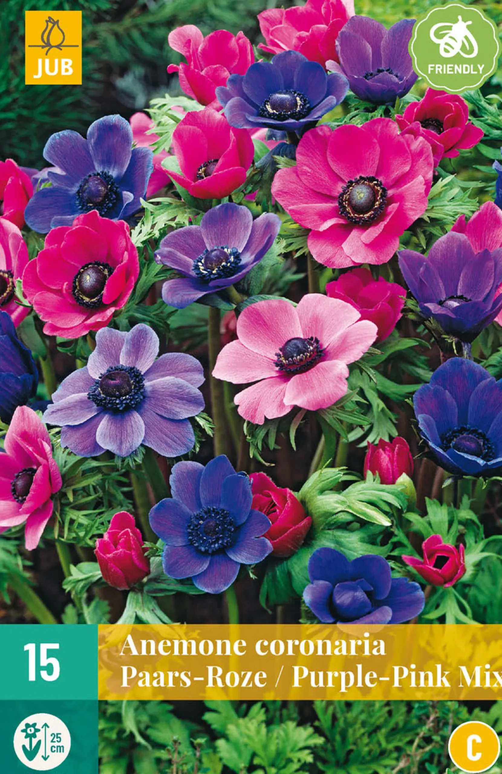 15 bloembollen anemone coronaria paars-roze mix|ohgreen