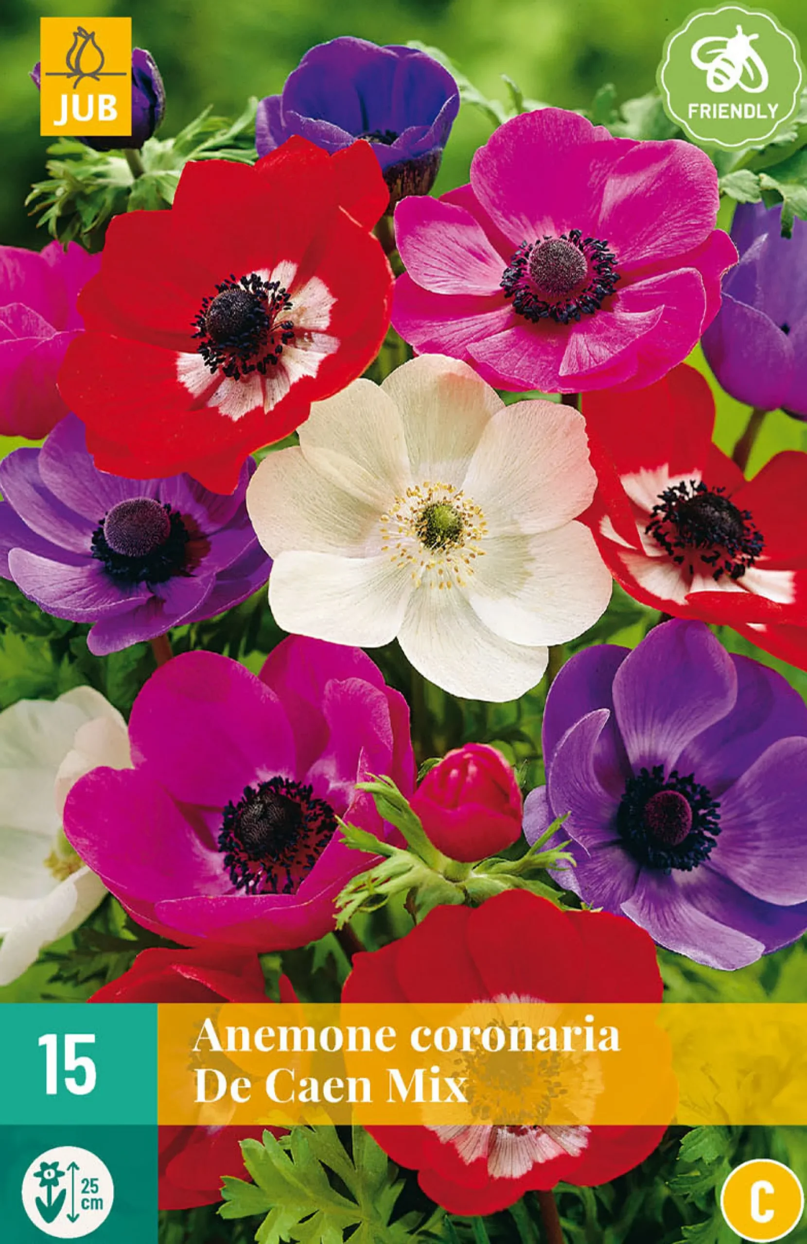 15 bloembollen anemone coronaria de caen mix|ohgreen