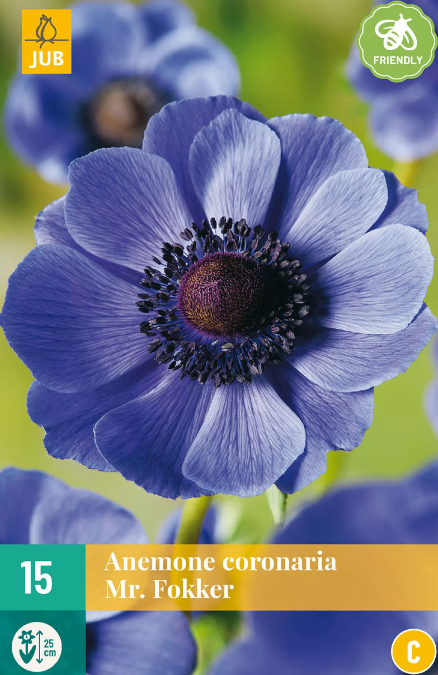 15 bloembollen anemone coronaria mr. fokker|ohgreen Best