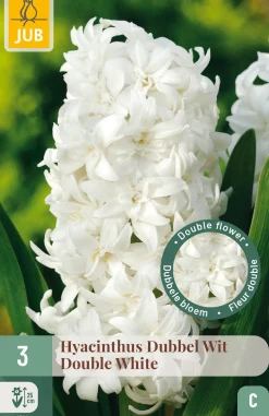 3 bloembollen hyacinthus dubbel wit|ohgreen Hot