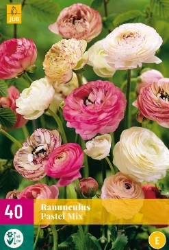 40 bloembollen ranunculus pastel mix|ohgreen New