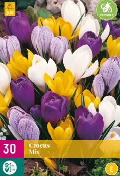30 crocus grootbloemig mix|ohgreen
