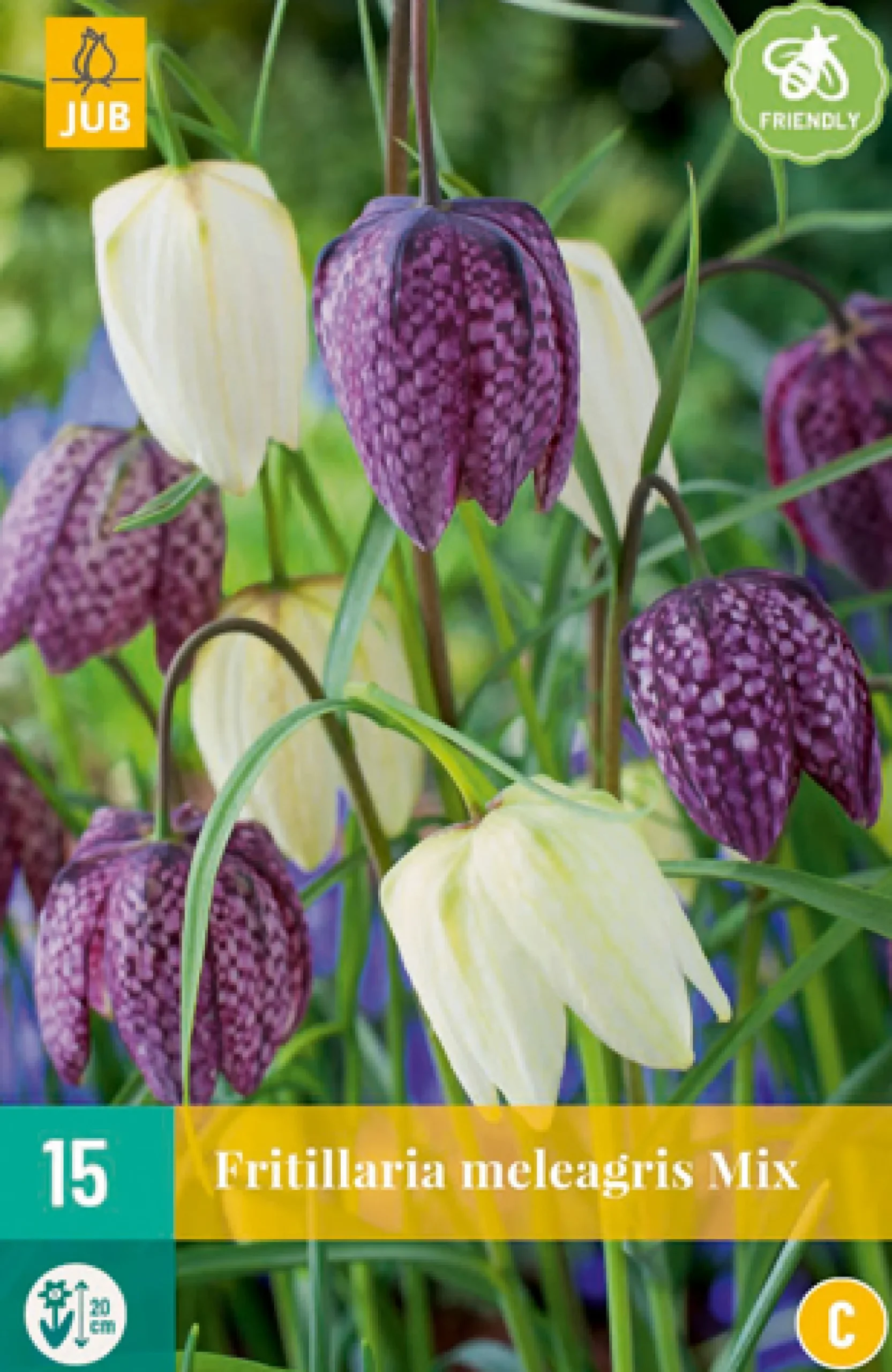 15 fritillaria meleagris mix|ohgreen New