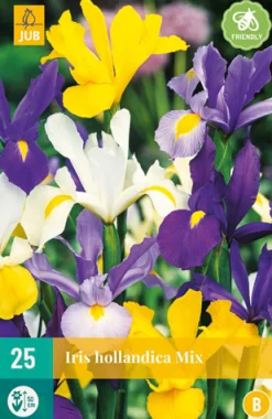 25 iris hollandica mix|ohgreen Outlet
