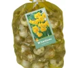 80 narcissus botanisch geel|ohgreen