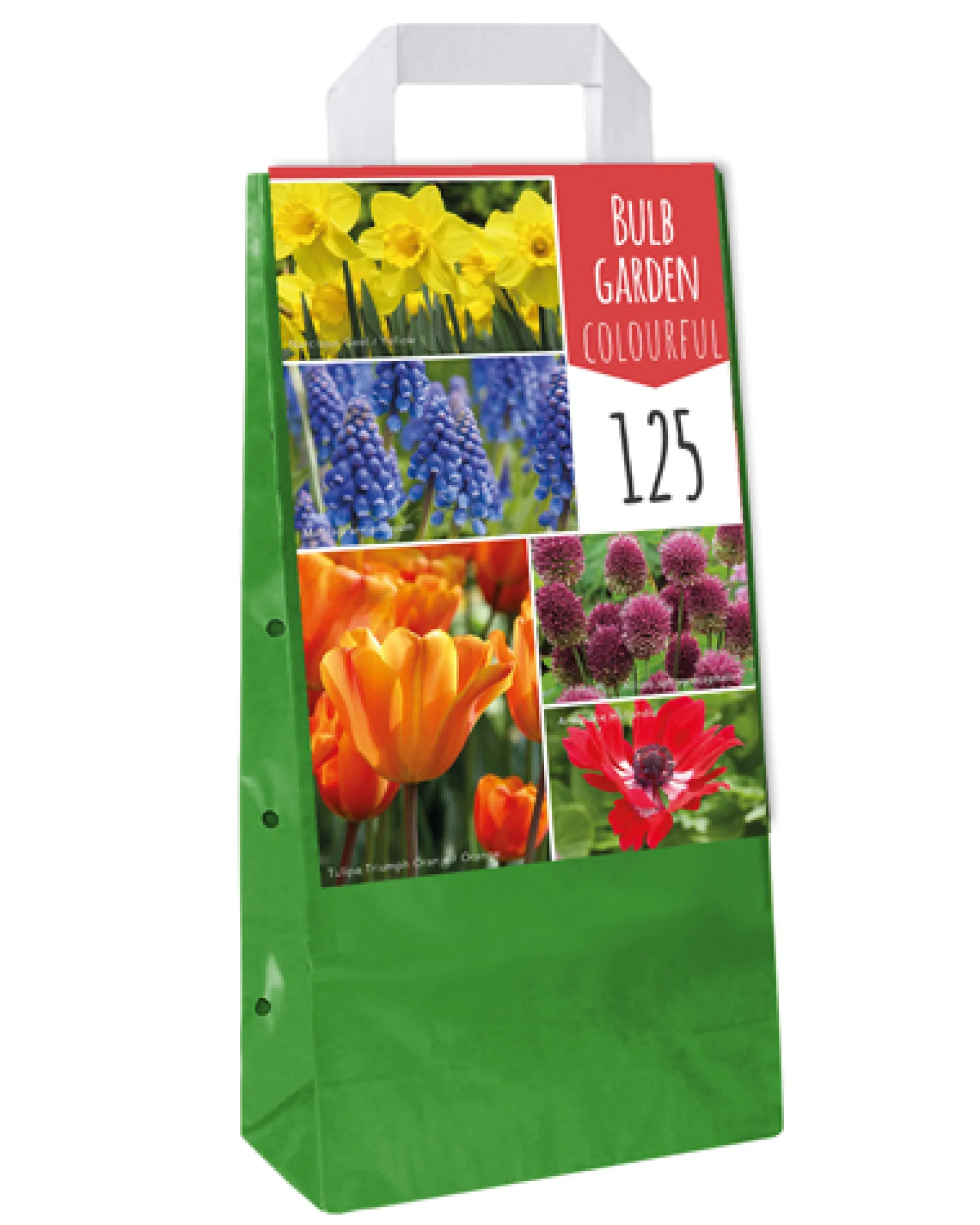 1 tas met 125 bollen bulb garden colourful|ohgreen Discount