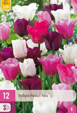 12 tulipa pastel mix|ohgreen Online