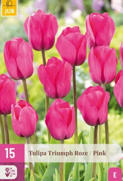 15 tulipa triumph roze|ohgreen Clearance