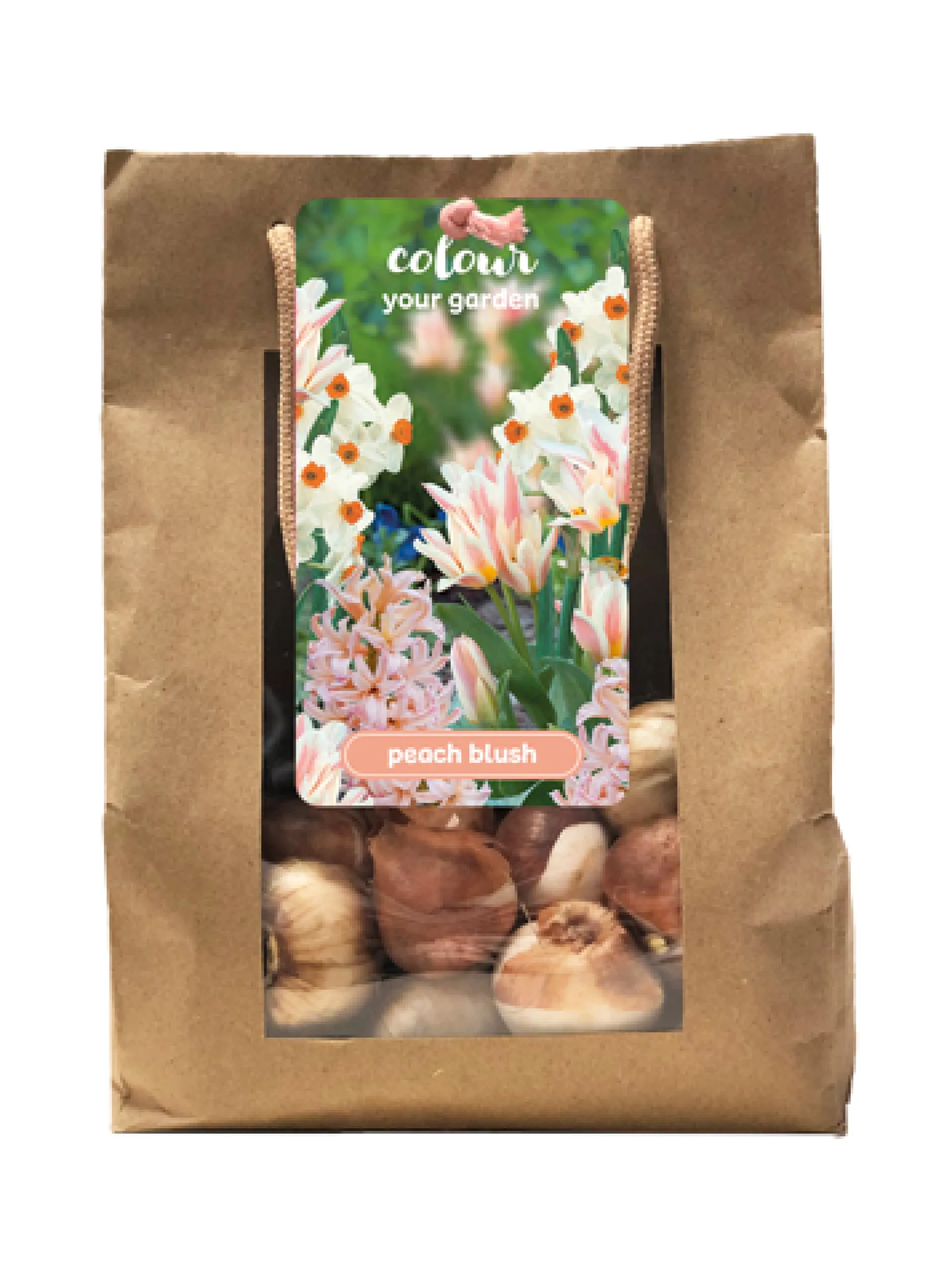 1 zak 25 bollen colour your garden peach blush|ohgreen Discount
