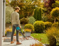 Accubladblazer PowerJet 18V P4A set|ohgreen New