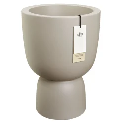 Amber coupe|ohgreen Best