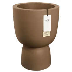 Amber coupe|ohgreen Hot