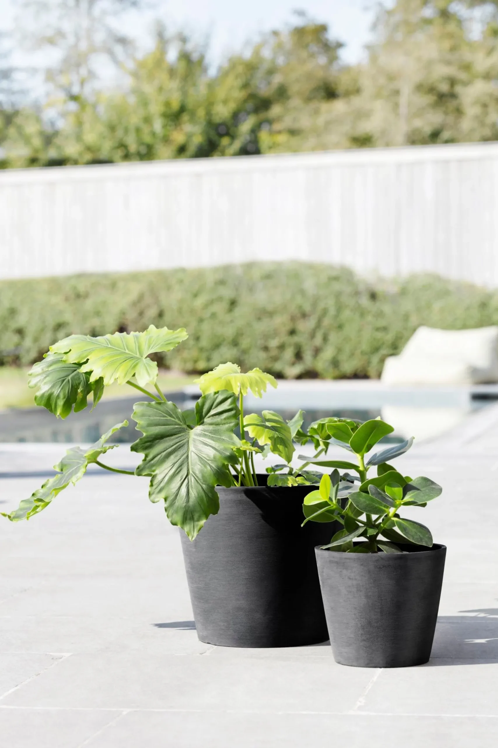 Amsterdam 20cm donkergrijs met waterreservoir|ohgreen Best