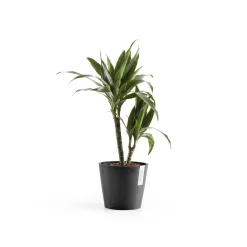 Amsterdam 20cm donkergrijs met waterreservoir|ohgreen Best