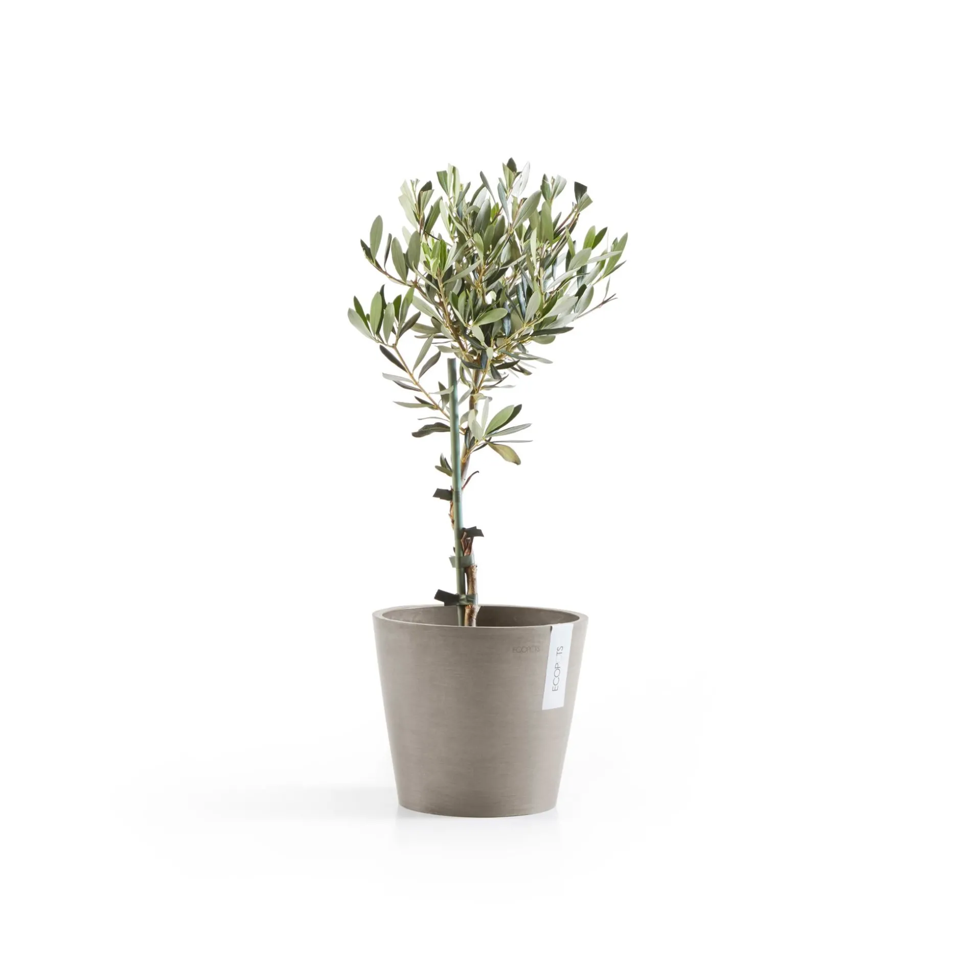 Amsterdam 20cm taupe met waterreservoir|ohgreen Clearance