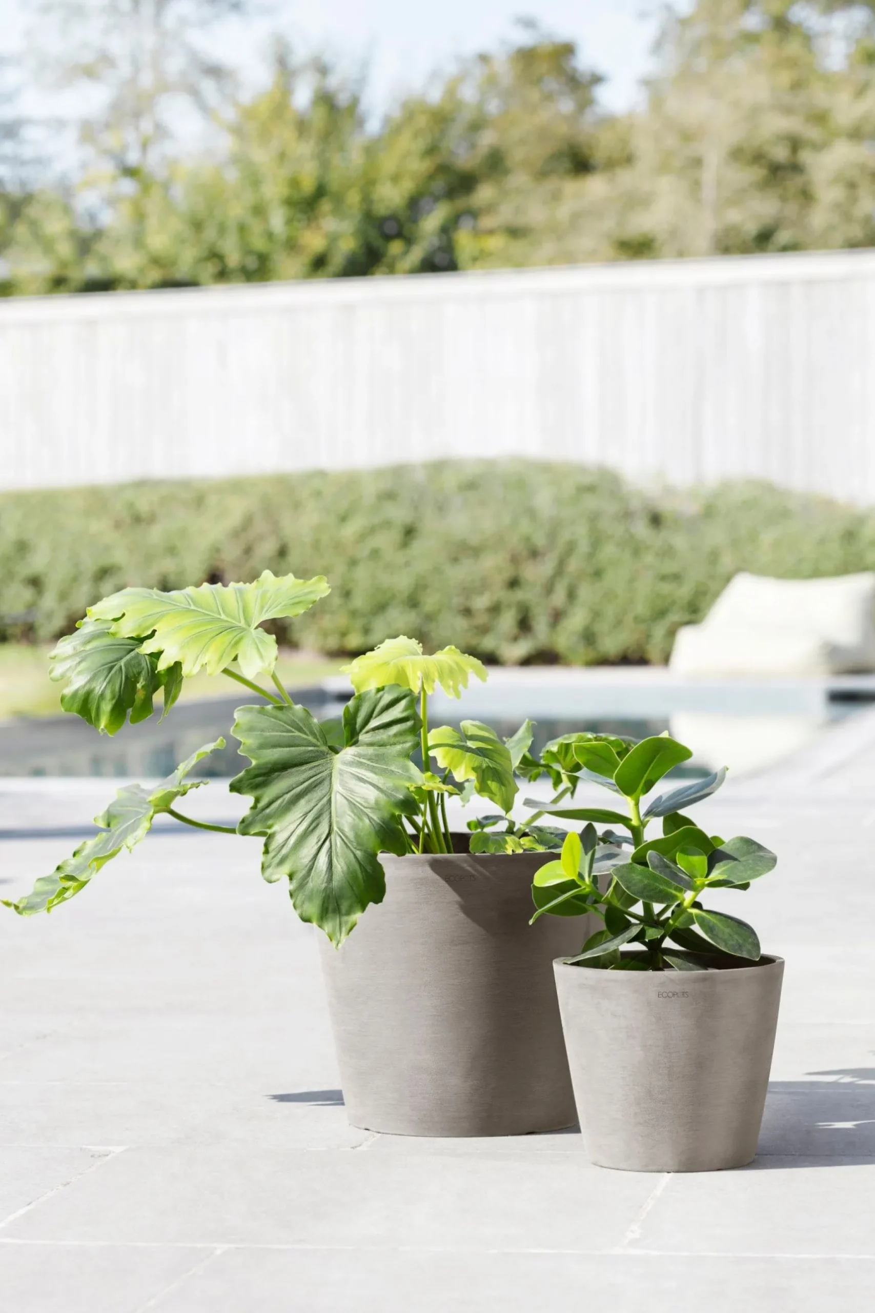 Amsterdam 20cm taupe met waterreservoir|ohgreen Clearance