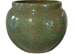 Anogo pot belly|ohgreen