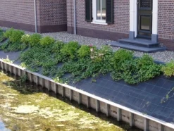 Anti-worteldoek|ohgreen