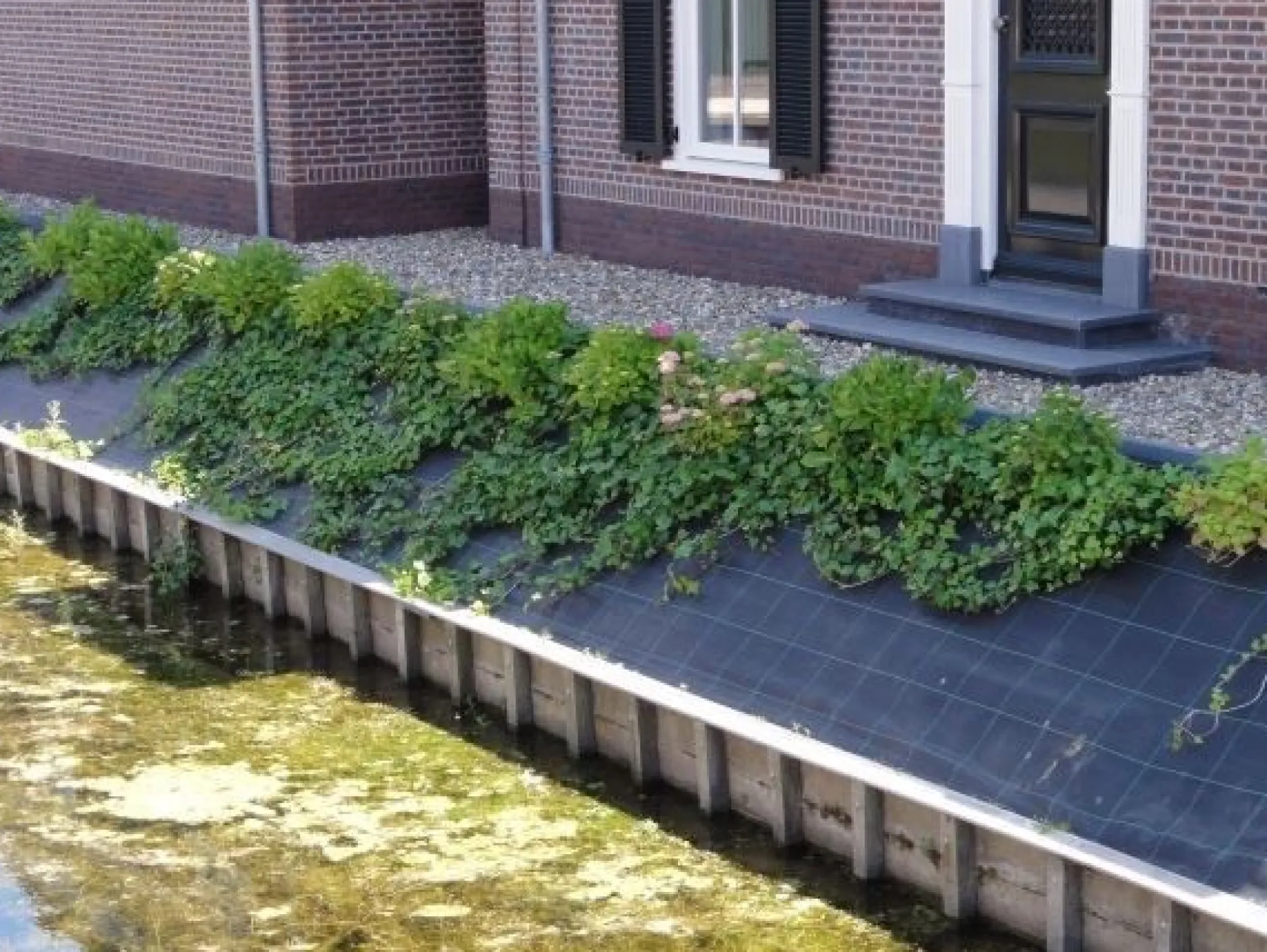 Anti-worteldoek|ohgreen