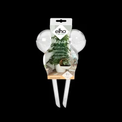 AQUA CARE TRANSPARANT|ohgreen Best