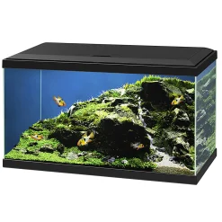 Aquarium aqua 60 led bio cf150|ohgreen Best