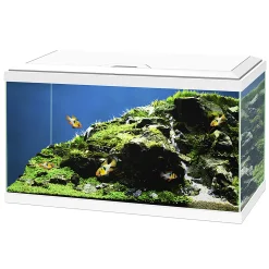 Aquarium aqua 60 led bio cf150|ohgreen Hot