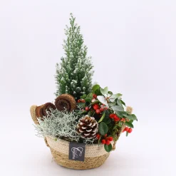 Arrangement Gaultheria creatie|ohgreen Clearance