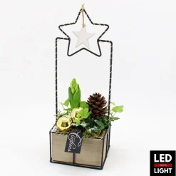 Arrangement Hyacinth in houd led|ohgreen Outlet