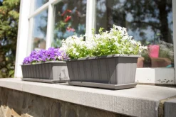 Balkonbak Super 50 cm Antraciet|ohgreen New