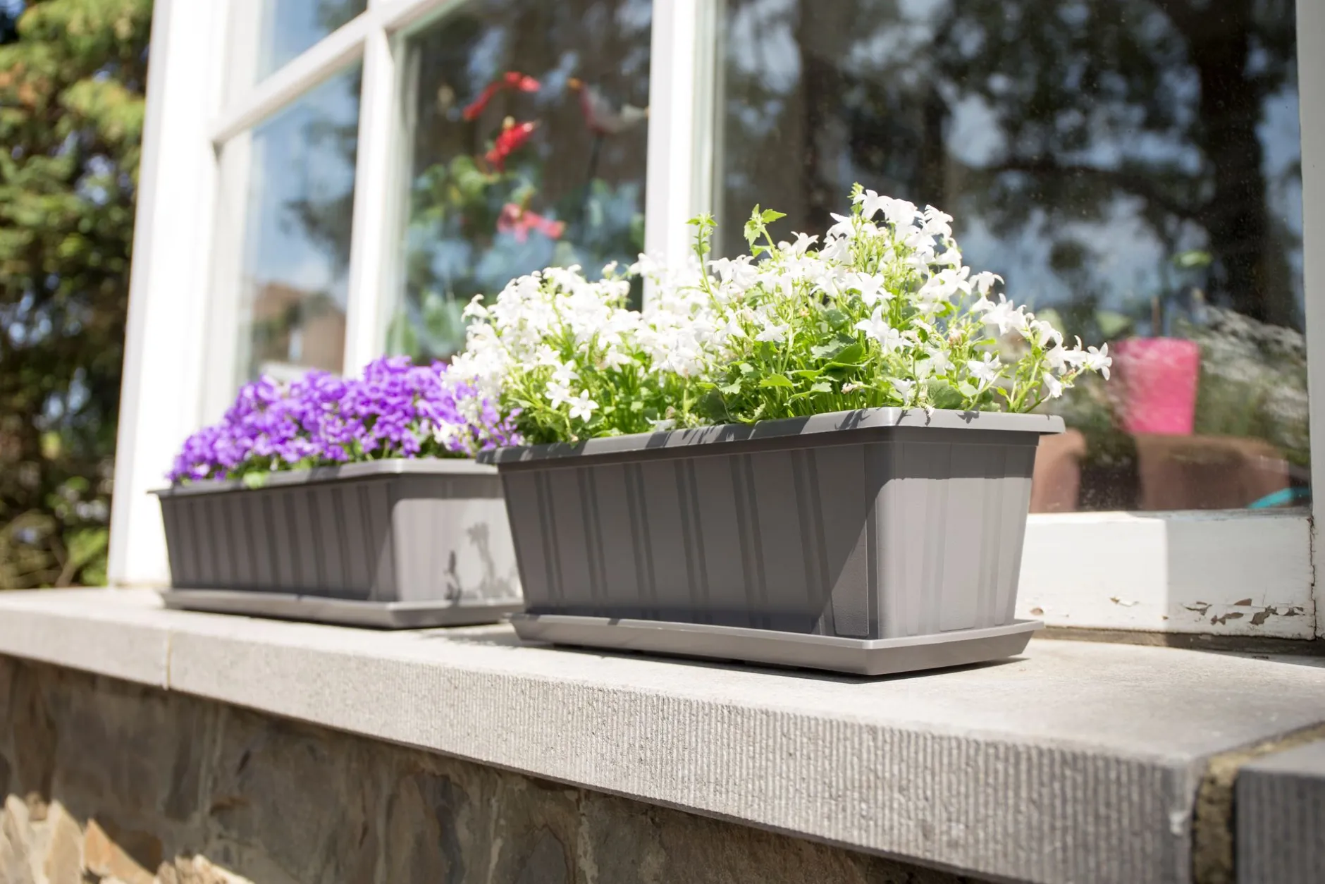 Balkonbak Super 50 cm Antraciet|ohgreen New