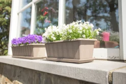 Balkonbak Super 50 cm Taupe|ohgreen Sale