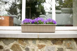 Balkonbak Super 50 cm Taupe|ohgreen Sale