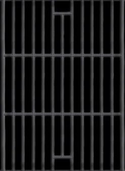 Barbecue grillrooster voor Carbone|ohgreen Clearance