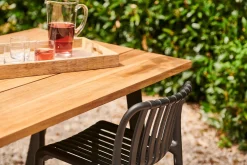 Bartafel Wilsona|ohgreen Discount