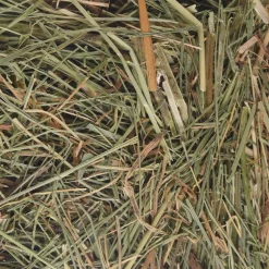 Berghooi met brandnetel 500gr|ohgreen Clearance