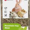 Berghooi met munt 500gr.|ohgreen