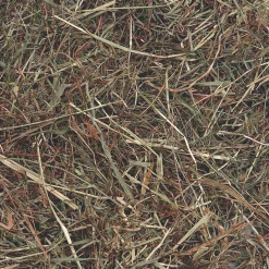 Berghooi met munt 500gr.|ohgreen