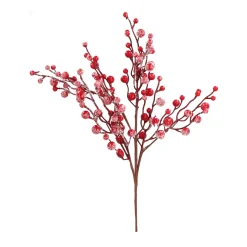 Bessen pick 43cm rood|ohgreen Discount