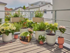 Bewatering Balkon Set|ohgreen Online