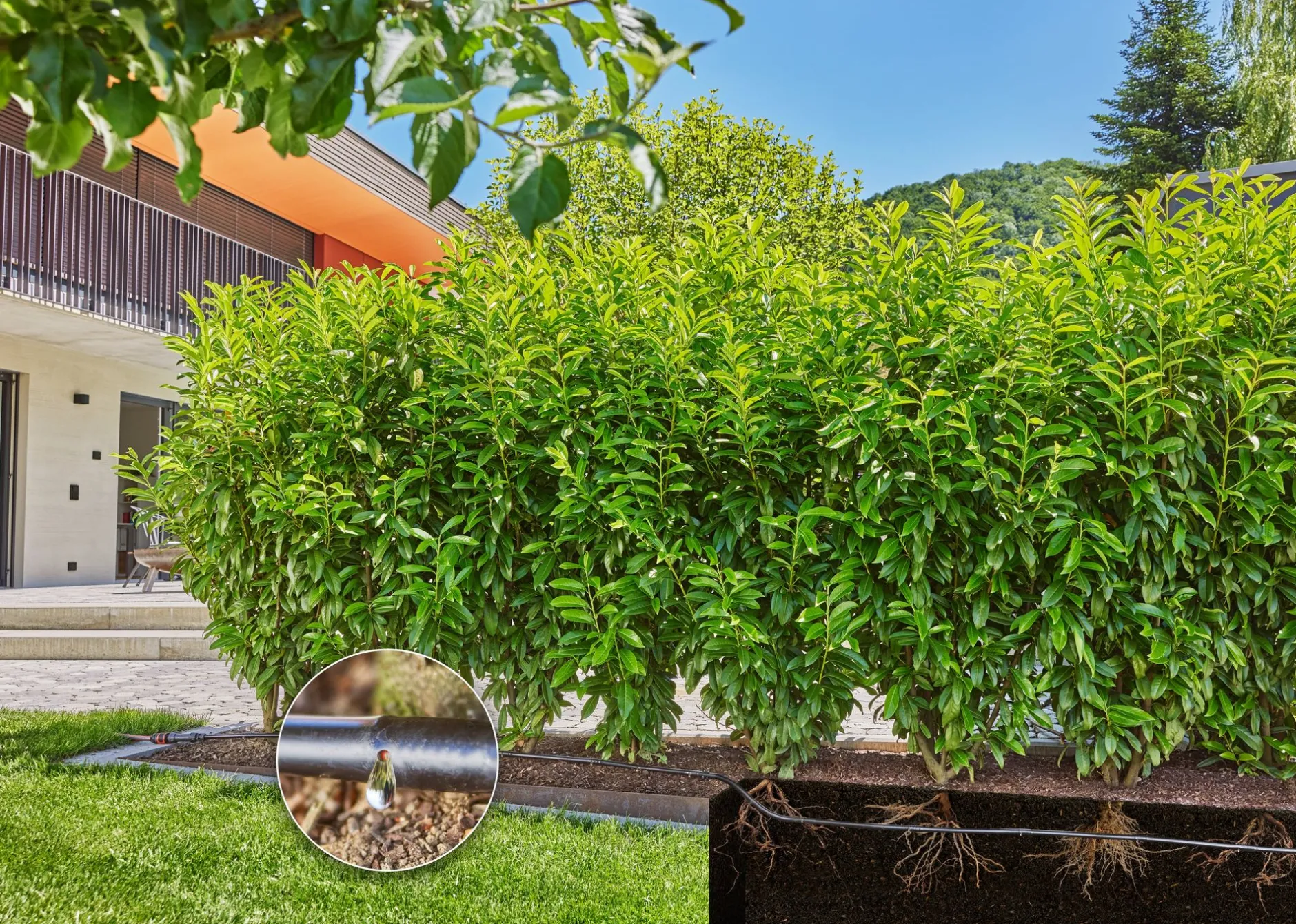 Bewatering heggen of struiken set 25m|ohgreen Discount