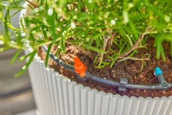Bewateringsset voor terras|ohgreen