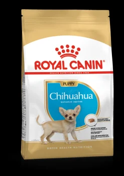 Bhn chihuahua puppy 500g|ohgreen