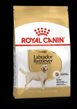 Bhn labrador retriever 12kg|ohgreen Best