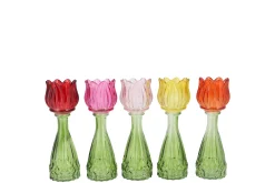 Bicolore tulp vaas 7x18|ohgreen Best