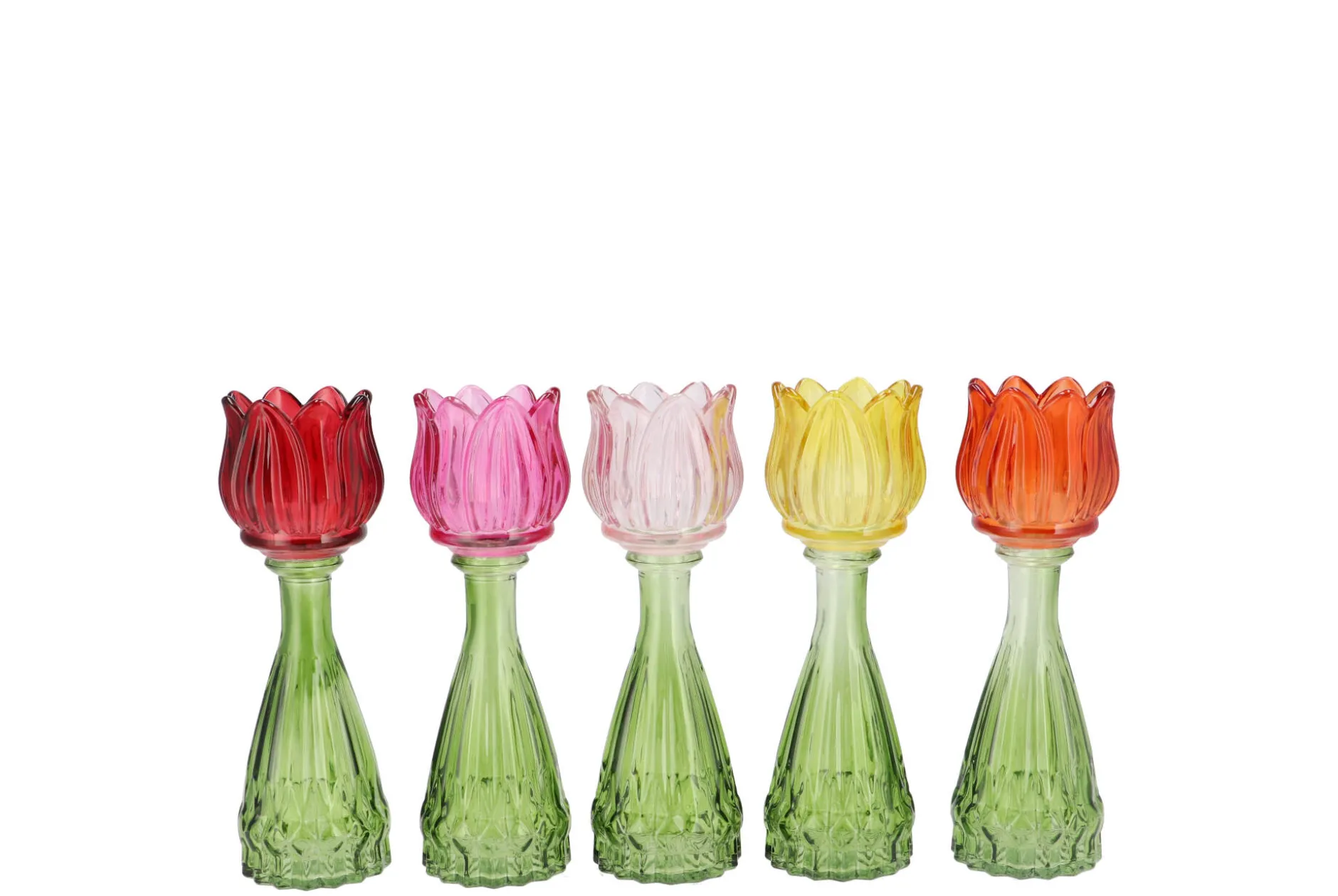 Bicolore tulp vaas 7x18|ohgreen Best