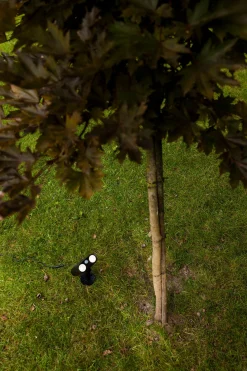 Bingo solar prikspot|ohgreen Clearance