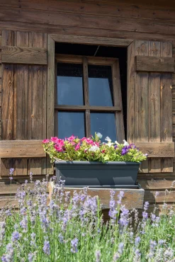 Bloembak relax 60cm antraciet|ohgreen Hot