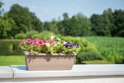 Bloembak relax 60cm taupe|ohgreen Sale